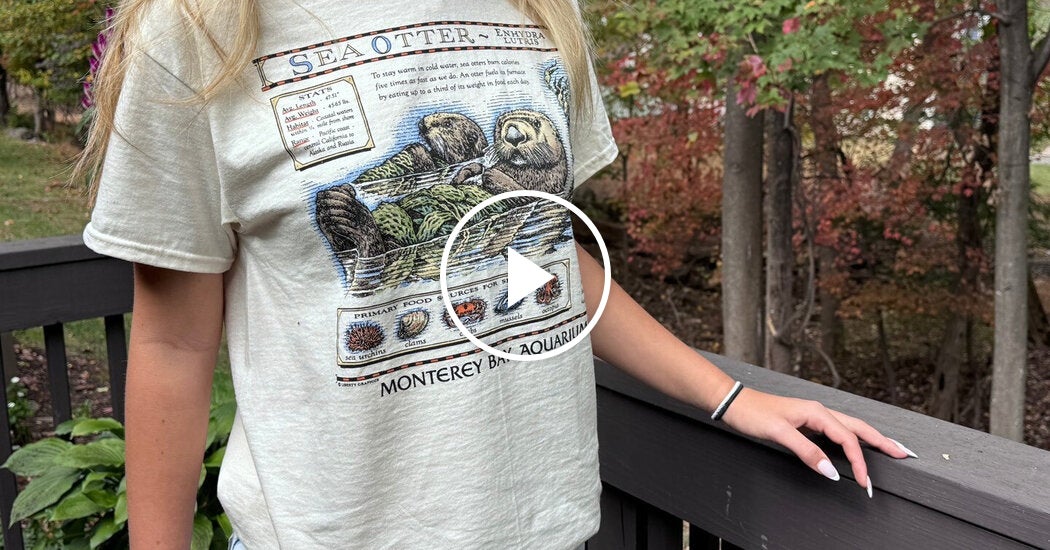 California Aquarium Raises Millions Following Taylor Swift’s Otter Shirt Moment – Mirror Brief